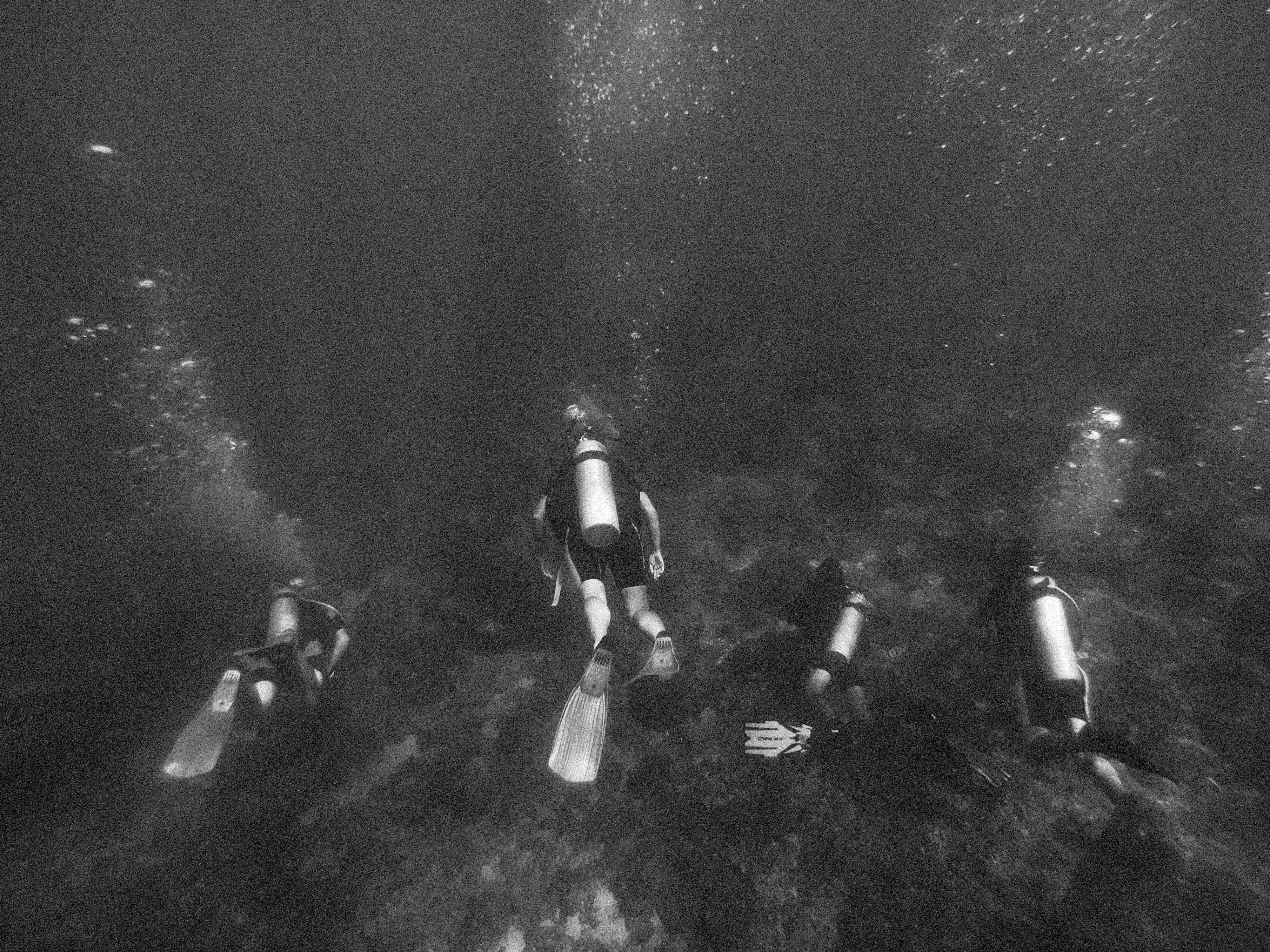Plongeurs en palanquée, lumière sous-marine